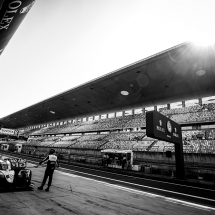 World Endurance Championship