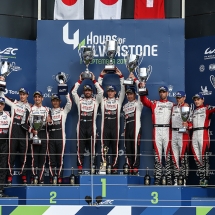 World Endurance Championship