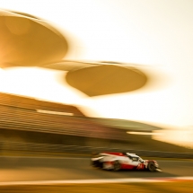 World Endurance Championship