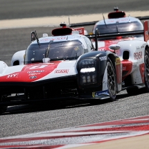 World Endurance Championship